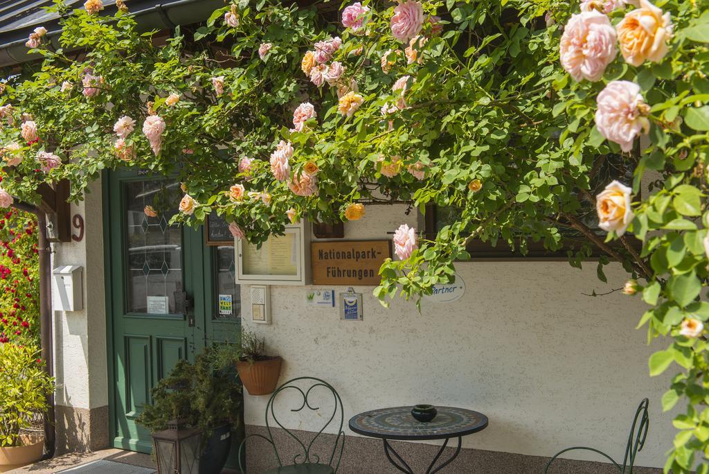 Kraeuterpension Saeumerpfad Mauth Exterior foto